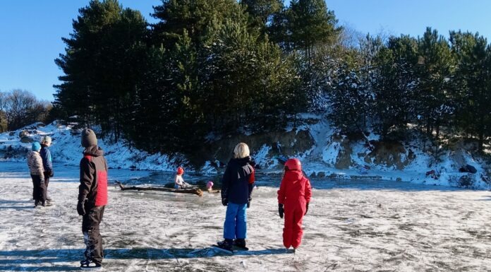 winterzwemmen