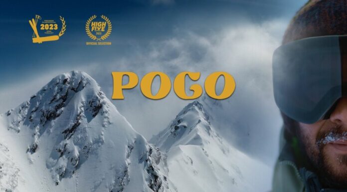 pogo hidden faces movie