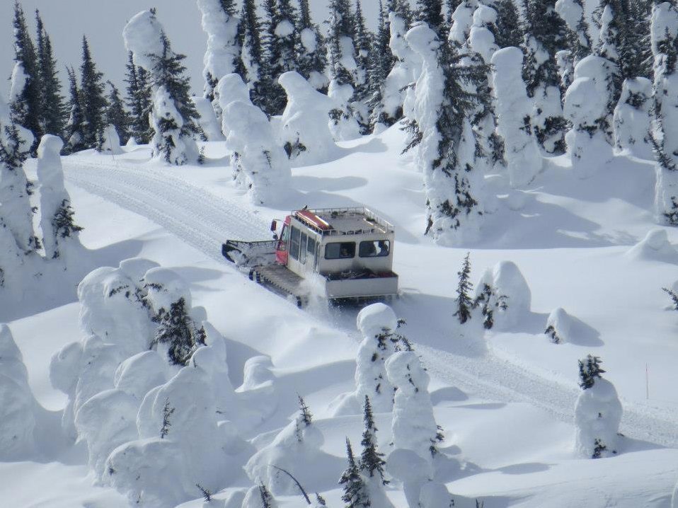 csm_catski-trip-article-header_25d4067597