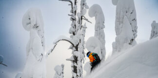 Catskiën in Fernie: Een poederavontuur om niet meer te vergeten – Deel 3 roadtrip Canada catski fwa fernie
