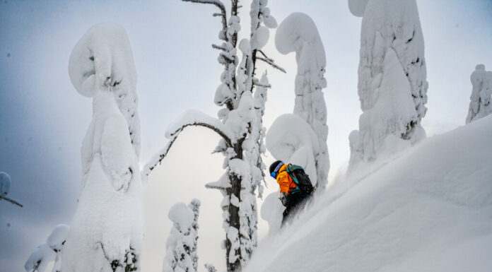 catski fwa fernie