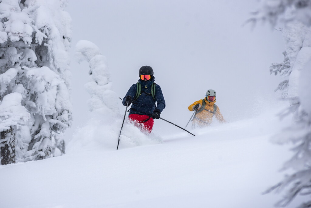powder in fernie