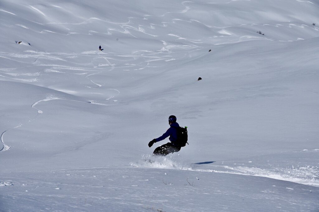 davos powderturns