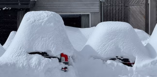 sneeuwval