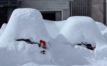 sneeuwval