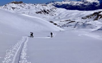 splitboarden davos header