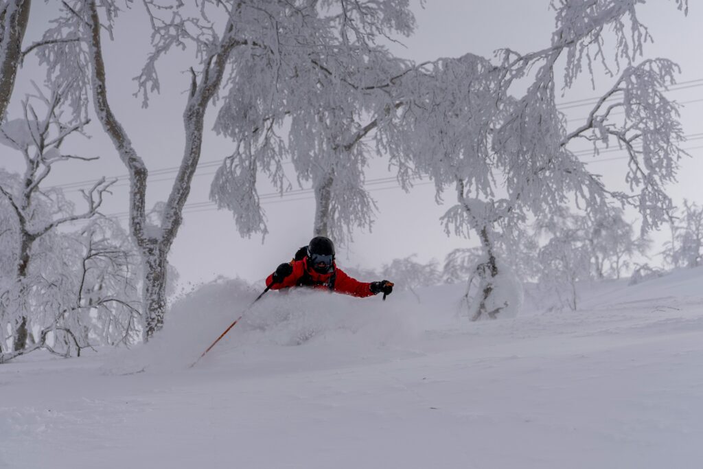 japow treeruns