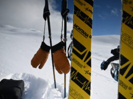 Naked Cruzer EVO Lobster review