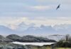 Toerskiën en splitboarden op de Lofoten lofoten bij hennisvaer