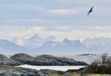 lofoten bij hennisvaer