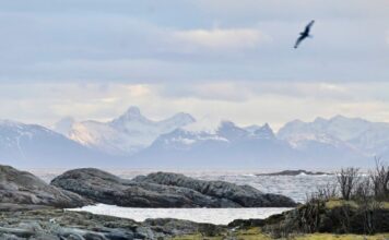 Toerskiën en splitboarden op de Lofoten lofoten bij hennisvaer