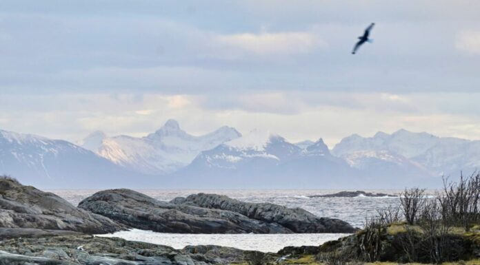 Toerskiën en splitboarden op de Lofoten lofoten bij hennisvaer