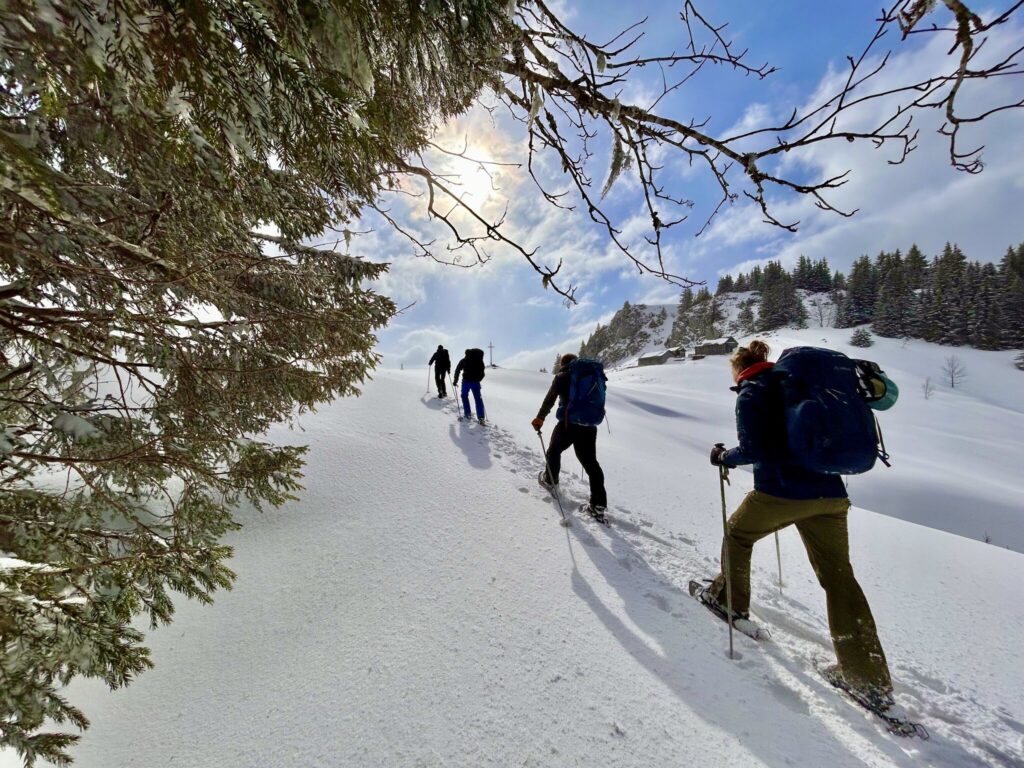 alpadventure 11