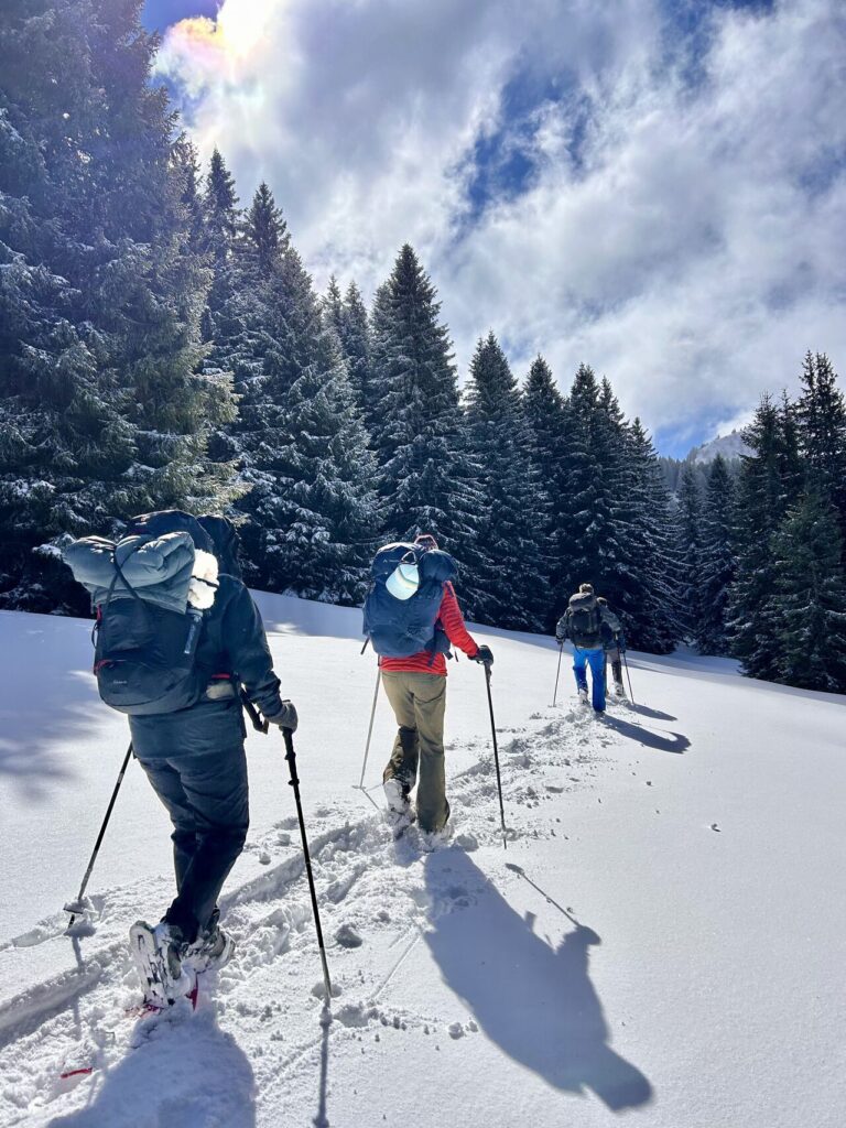 alpadventure 7
