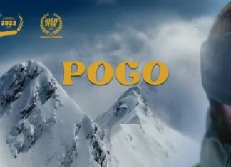 pogo hidden faces movie