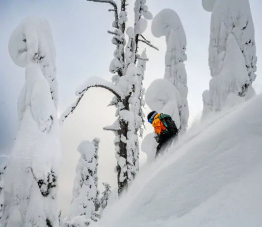 catski fwa fernie