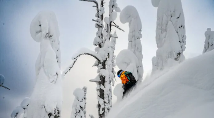 catski fwa fernie
