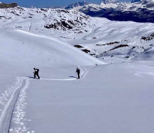 splitboarden davos header
