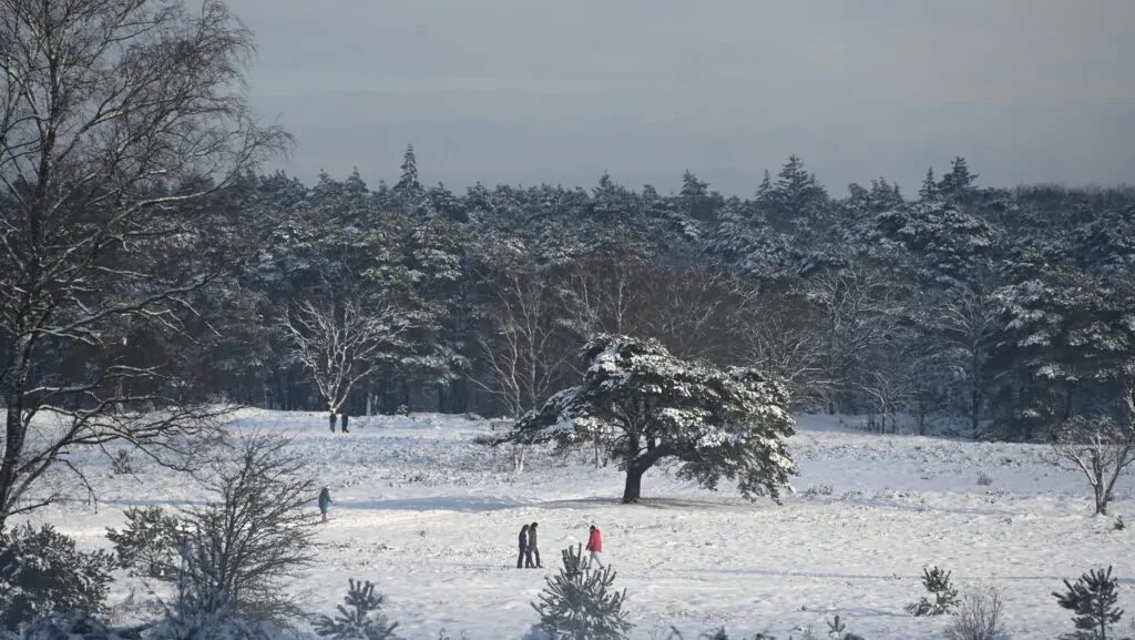 sneeuw Midden van het land