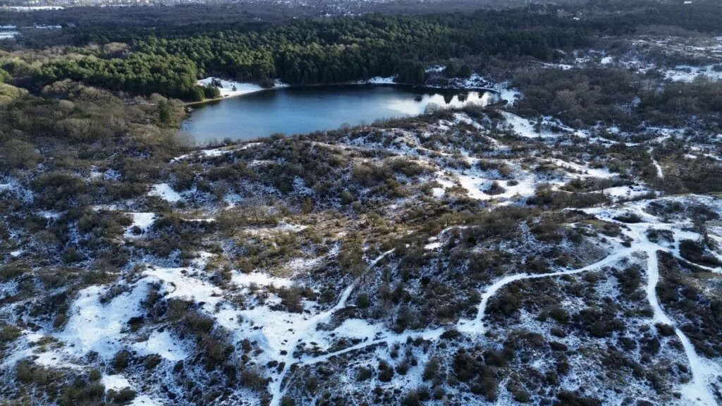 sneeuw in de duinen