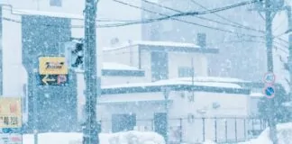 4,5 meter sneeuw in Japan: de keerzijde van Japow record sneeuw japan