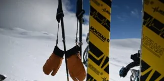 Naked Cruzer EVO Lobster review