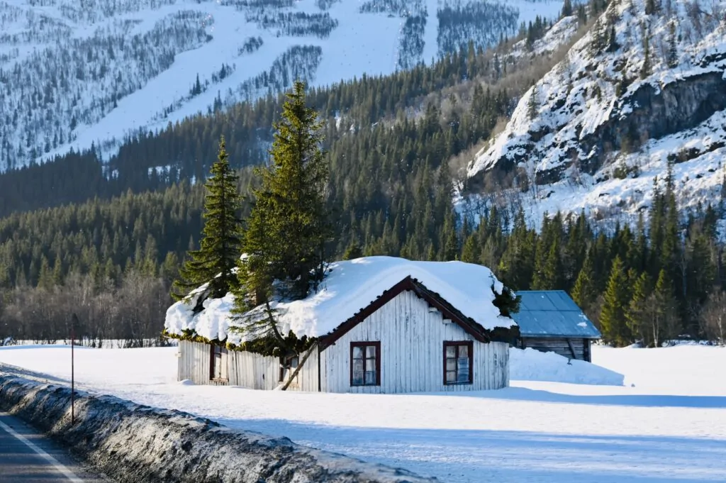 Huis met bomen door het dak Hemsedal