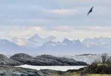 lofoten bij hennisvaer