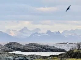 Toerskiën en splitboarden op de Lofoten lofoten bij hennisvaer
