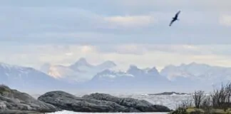 lofoten bij hennisvaer