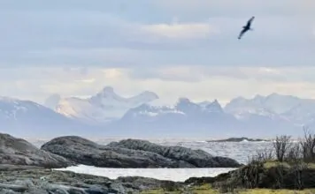 lofoten bij hennisvaer