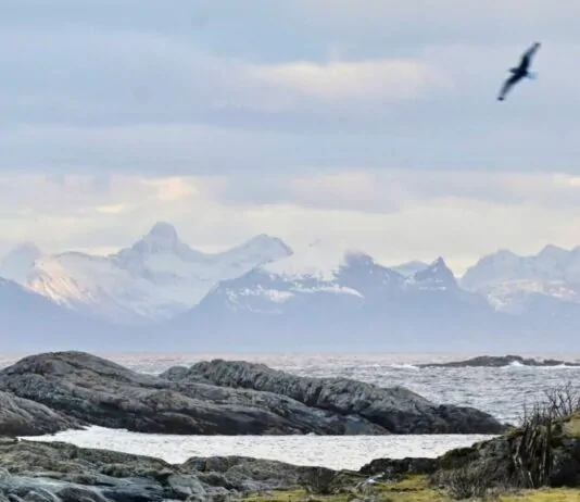 lofoten bij hennisvaer