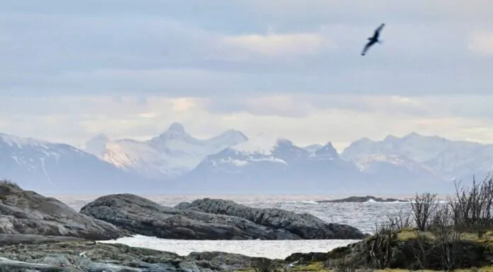 lofoten bij hennisvaer