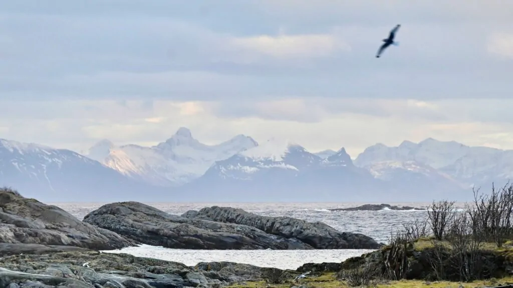 lofoten bij hennisvaer