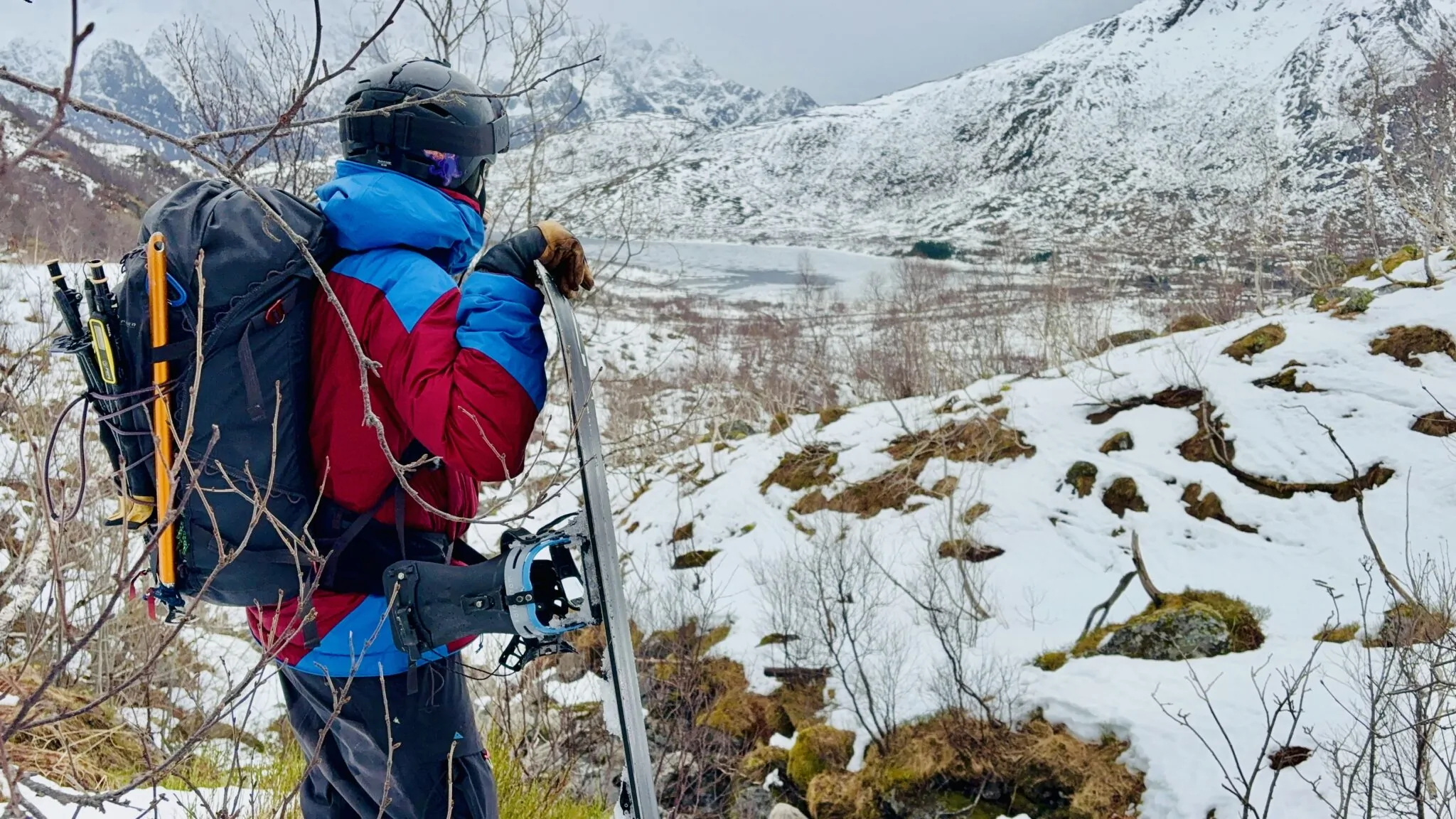 Door de struiken Lofoten